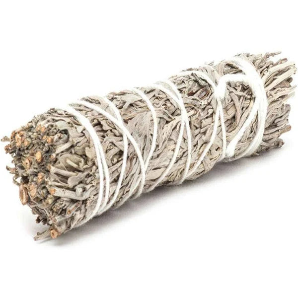 Wild Sage Bundle 2-Pack